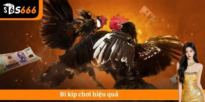 Bí kíp chơi hiệu quả