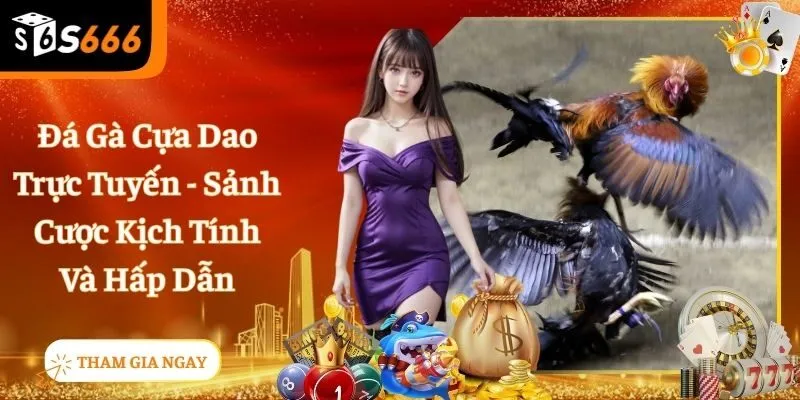 Đá Gà Cựa Dao - Cược Nhiều Trúng Càng Lớn Chỉ Có Tại S666