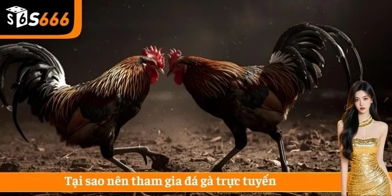 Giao diện trên trang web luôn thuận mắt và dễ thực hiện thao tác