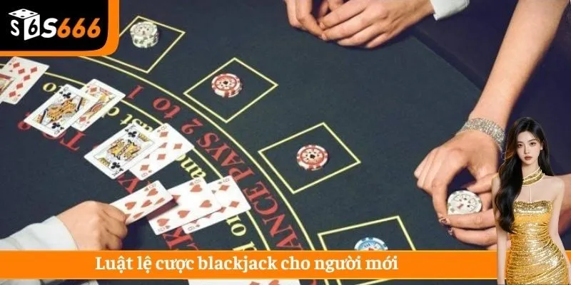 Luật lệ cược blackjack cho người mới 