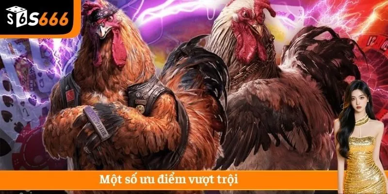 Một số ưu điểm vượt trội