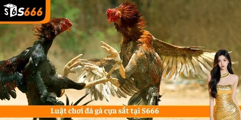 Quy tắc xác định thắng thua rất rõ ràng và được trọng tài tuân thủ chặt chẽ