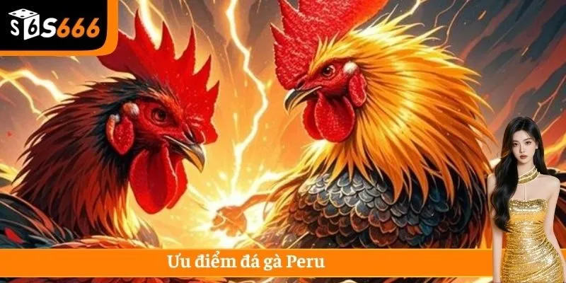 Ưu điểm đá gà Peru